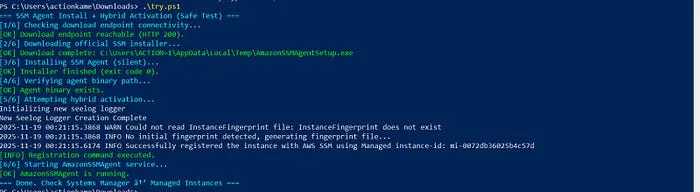 Windows 10 Pro machine registered to the attacker's AWS SSM account